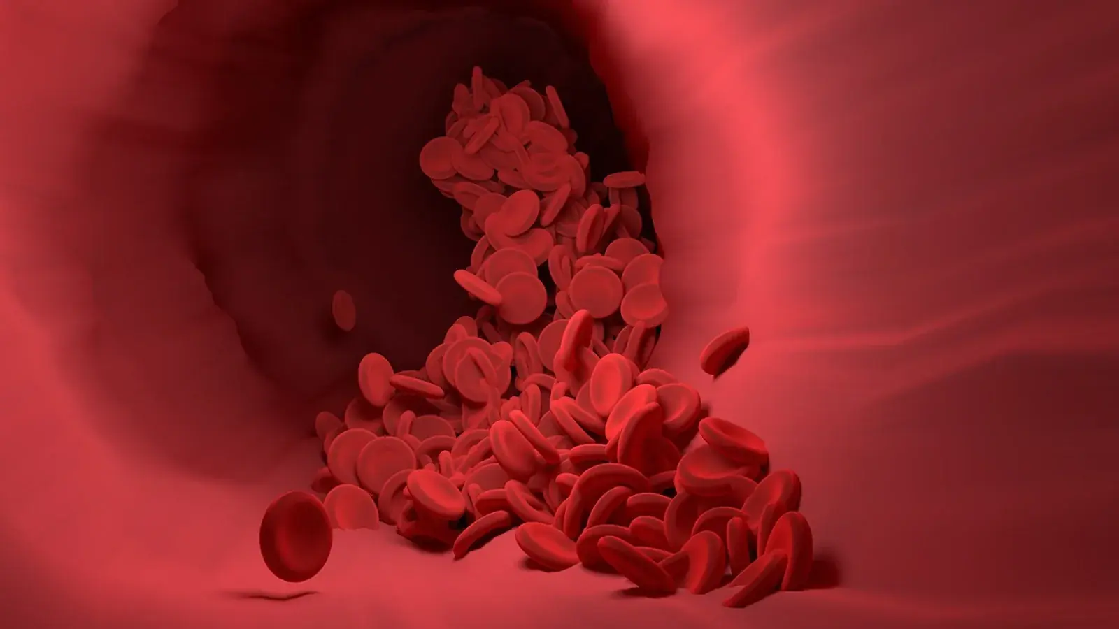 Rote Blutkörperchen strömen durch ein Blutgefäß, 3D-Darstellung