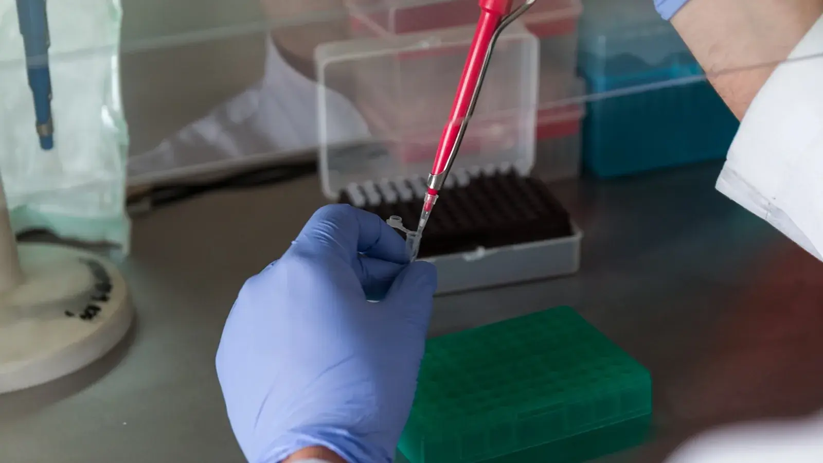 Hand in blauem Handschuh hält ein Reaktionsgefäß, in das eine rote Pipette dosiert