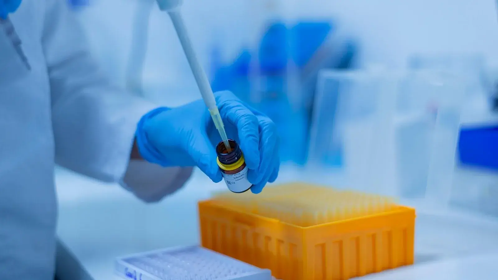 Hand im blauen Laborhandschuh pipettiert eine Probe über einem gelben Pipettenspitzen-Kasten